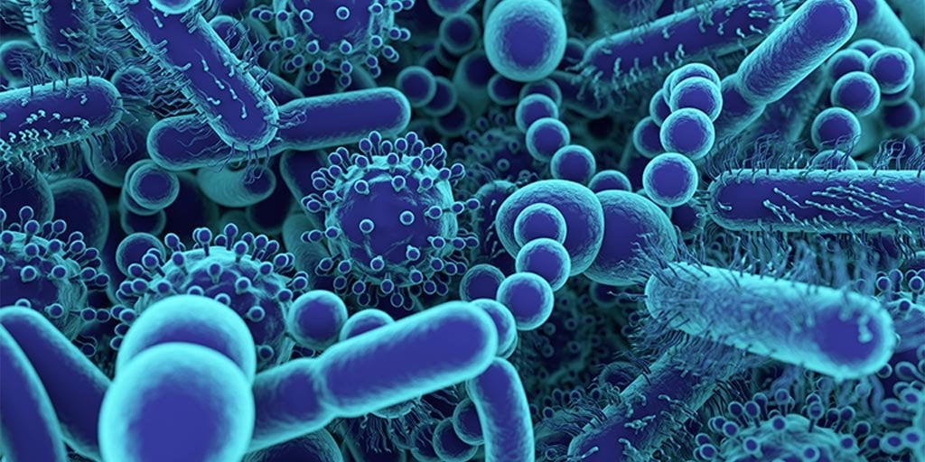 ¿Qué es el microbioma?<br>
 MICROBIOMA…<b>¿DÓNDE HAS ESTADO TODO ESTE TIEMPO?</b>