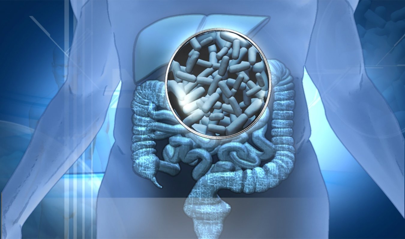 probioticos 1
