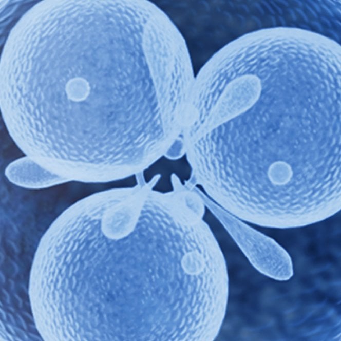 Anthelios uv mune 400